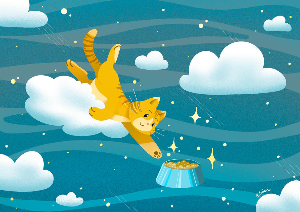 The creation of Kitty